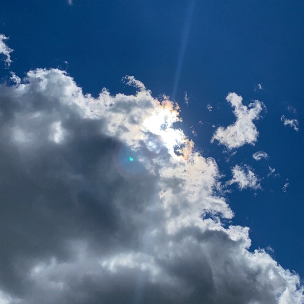 Meet your Posher, Gianna